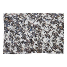 Explosión en la ganso de la nieve