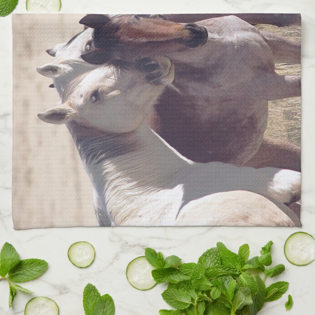 Paño De Cocina Familia (Doblado)