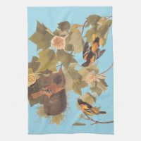 Familia Baltimore Oriole Audubon con nido