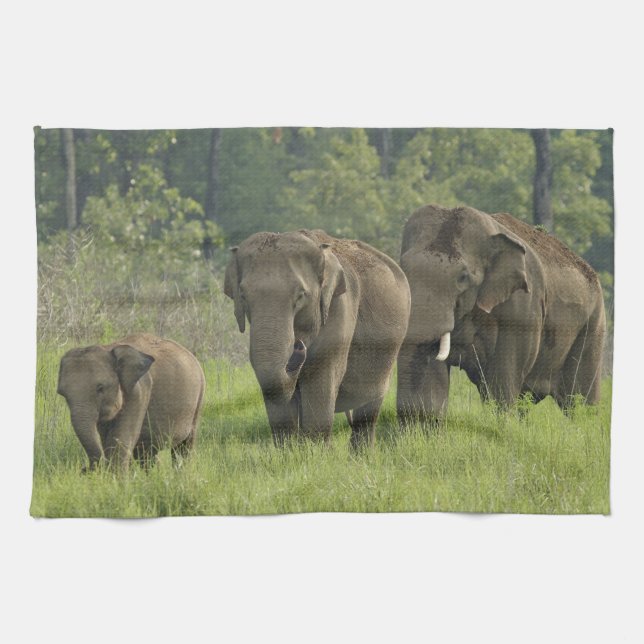 Paño De Cocina Familia elefante india (Horizontal)