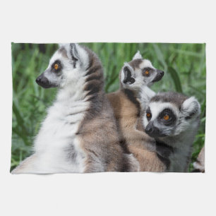 Paño De Cocina Familia Lemur