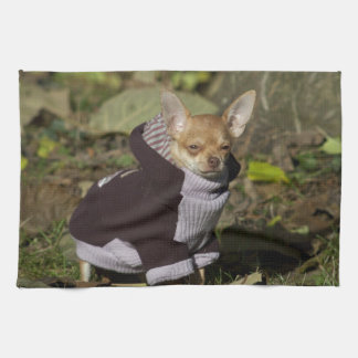 Paño De Cocina Fancy Chihuahua