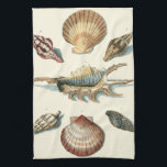 Paño De Cocina Fancy Shell Beach<br><div class="desc">George Wolfgang Knorr es conocido por el delicado detalle y la precisión de sus ilustraciones de conchas y pez estrella. Sus dibujos estaban influidos por su propio interés en la ciencia,  un tema popular de su época.</div>