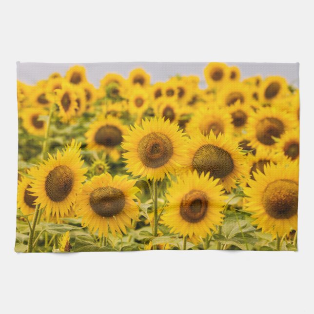 Paño De Cocina Farms | A Sunflower Field (Horizontal)