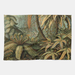 Paño De Cocina Ferns Palm Tree Antique Botanica Ferns Art