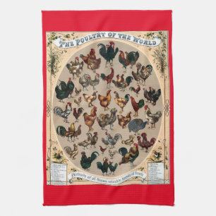 Paño De Cocina Ficha de aves de corral vitícolas de pollo y gallo