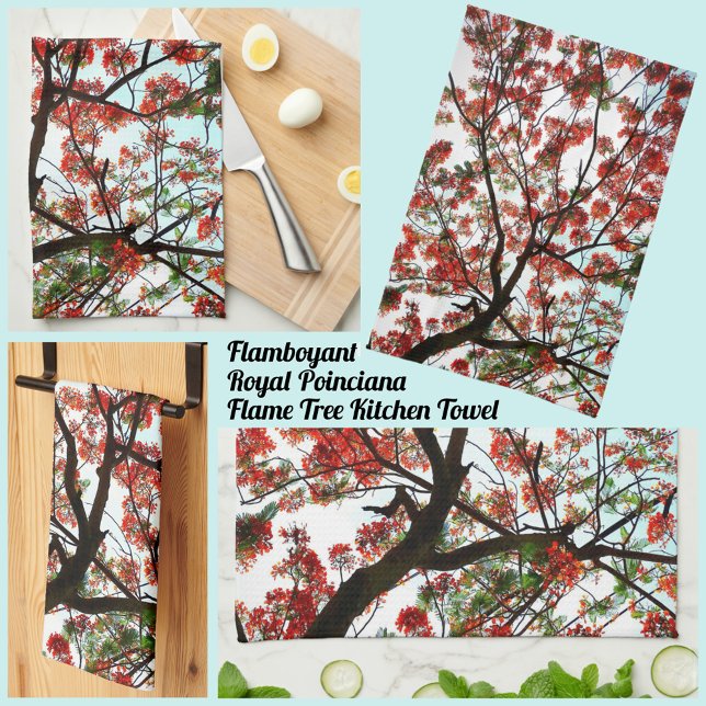 Paño De Cocina Flamboyante árbol real de la poinciana rojo blanco (Subido por el creador)