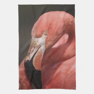 Paño De Cocina Flamenco chileno, Phoenicopterus chilensis