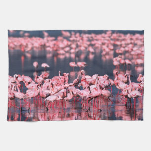 Paño De Cocina Flamencos menores (Phoeniconaias minor), África,