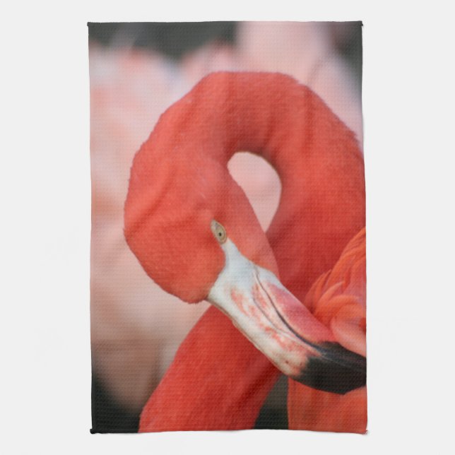 Paño De Cocina Flamingo 001 (Vertical)