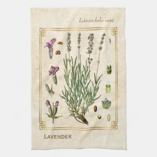 Paño De Cocina Flor botánica de lavanda herbal de arte de época