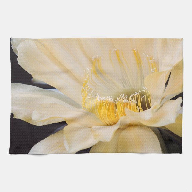 Paño De Cocina Flor de cactus Echinopsis Charlemagne (Horizontal)