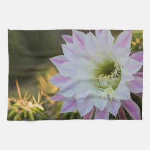 Paño De Cocina Flor de cactus púrpura y blanca