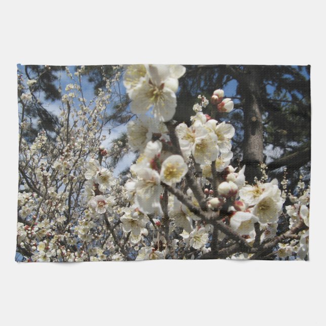 Paño De Cocina Flor de cerezo blanco / サ・(桜) Sakura/Sakura de cer (Horizontal)