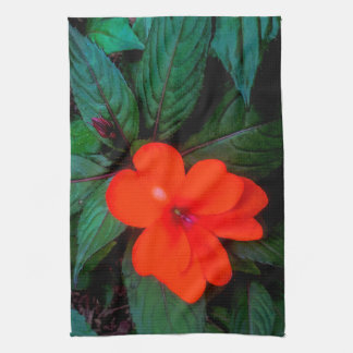 Paño De Cocina Flor de impaciencia naranja
