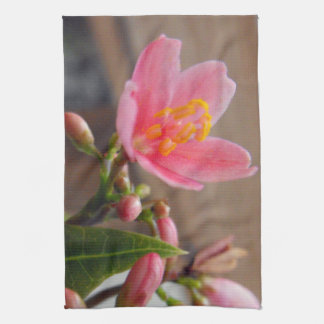 Paño De Cocina Flor de Jatrofa Rosa Suave