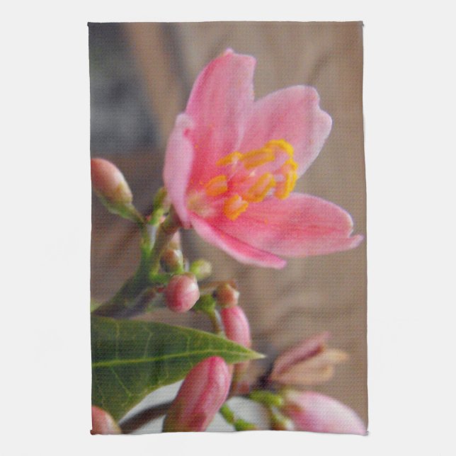 Paño De Cocina Flor de Jatrofa Rosa Suave (Vertical)