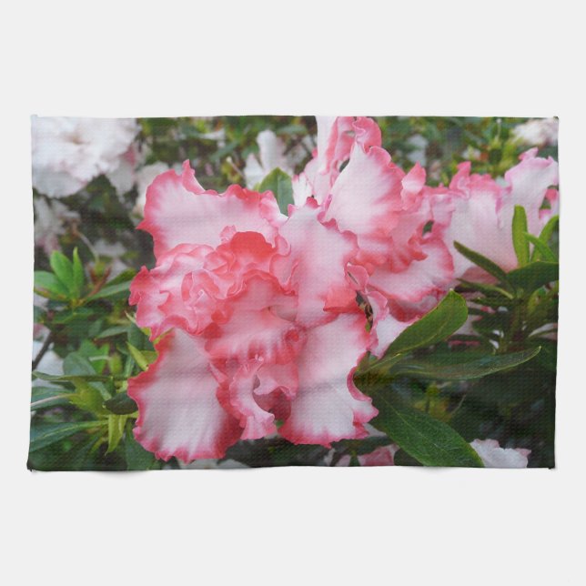 Paño De Cocina Flor de primavera de Azaleas doble roja y blanca (Horizontal)