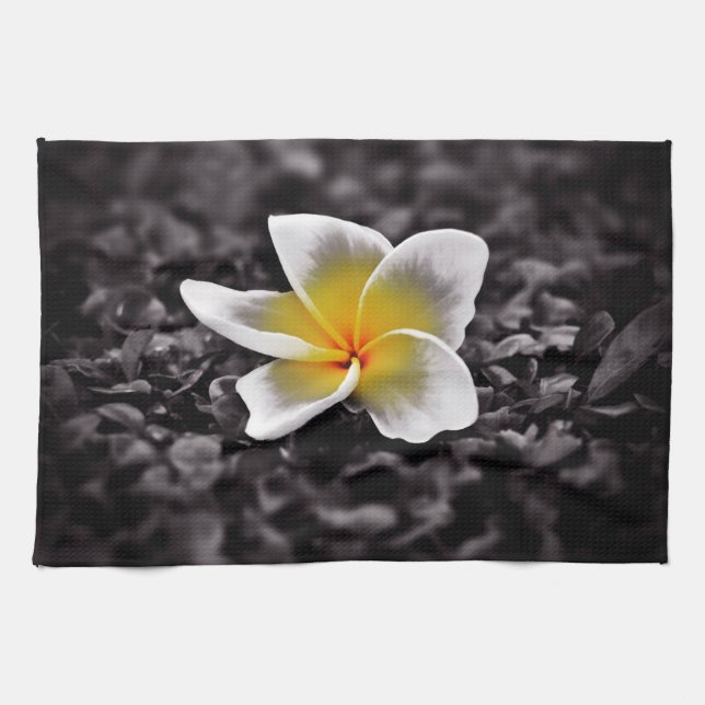 Paño De Cocina Flor Plumeria Frangipani Hawaii (Horizontal)