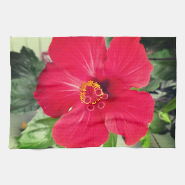 Paño De Cocina Flor roja de Hibiscus Rosa-sinensis (Horizontal)
