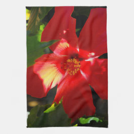 Paño De Cocina Flor roja hibiscus en el sol