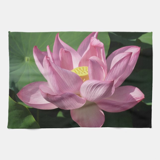 Paño De Cocina Flor rosa Lotus IV (Horizontal)