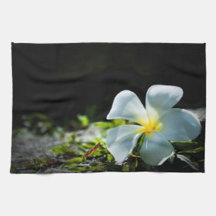 Paño De Cocina Flor tropical blanca (frangipani) cerca