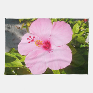 Paño De Cocina Flor tropical Hibiscus rosa