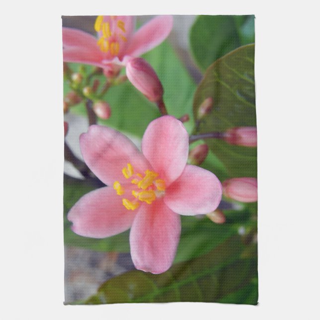 Paño De Cocina Flor y flor de Jatropha (Vertical)