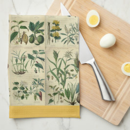 Paño De Cocina Flora ilustrada
