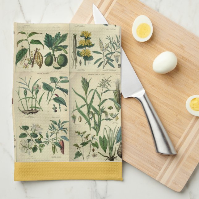 Paño De Cocina Flora ilustrada (Doblado Cuarto)