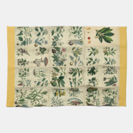Paño De Cocina Flora ilustrada