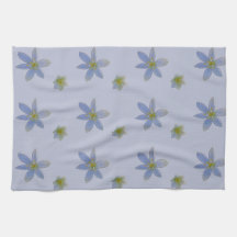florecer en blanco