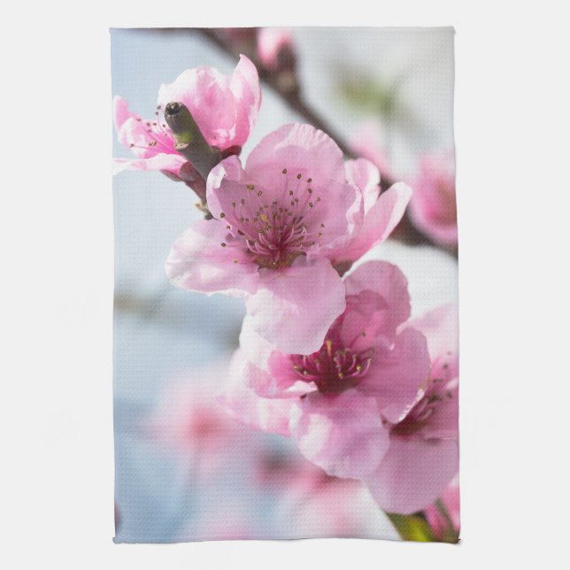 Paño De Cocina Florecimiento de la primavera (Vertical)