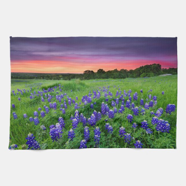 Paño De Cocina Flores | Bluebonnets en Sunset Texas (Horizontal)
