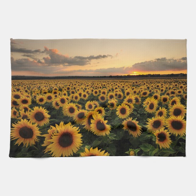 Paño De Cocina Flores | Campo de girasol (Horizontal)