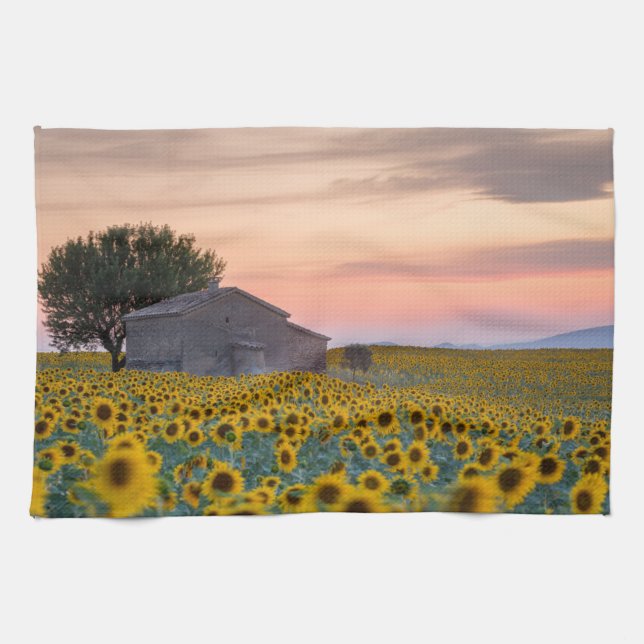 Paño De Cocina Flores | Campo de girasol Provenza, Francia (Horizontal)