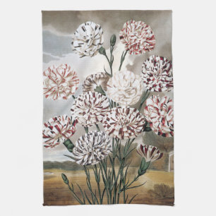 Paño De Cocina Flores de clavel variegado vintage con cielo gris