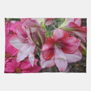 Paño De Cocina Flores de feriado rojo de Amaryllis y Poinsettia