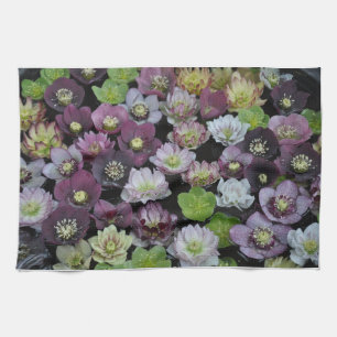 Paño De Cocina Flores de hellebore coloridas