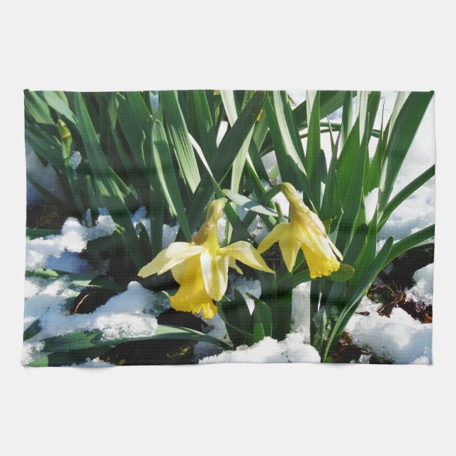 Paño De Cocina Flores de los Daffodils amarillos en la nieve (Horizontal)