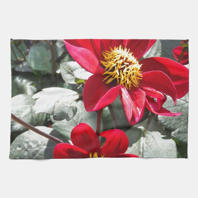 Paño De Cocina flores de margarita rosada roja / margarita (Horizontal)
