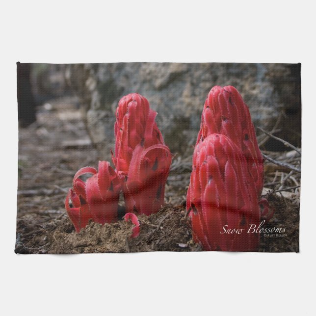 Paño De Cocina Flores de nieve (Horizontal)