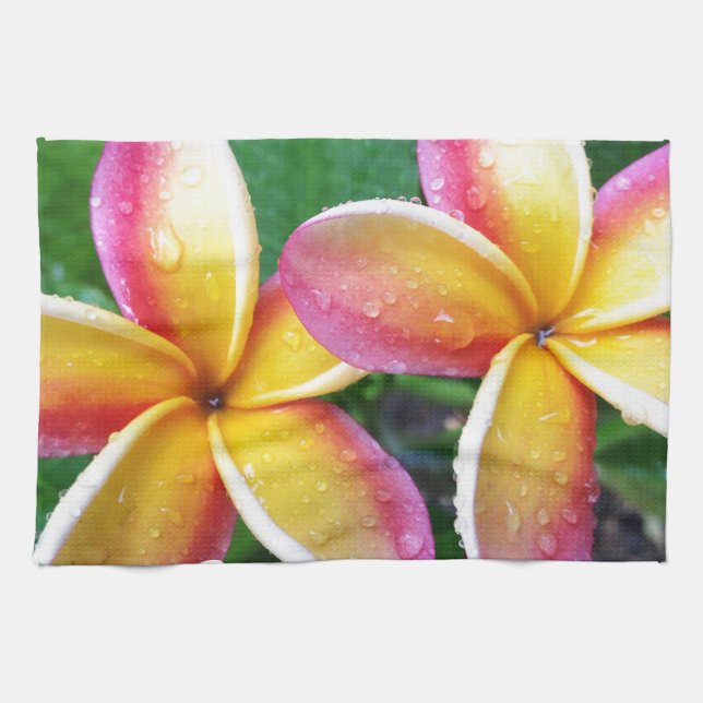 Paño De Cocina Flores del Plumeria de Maui Hawaii (Horizontal)