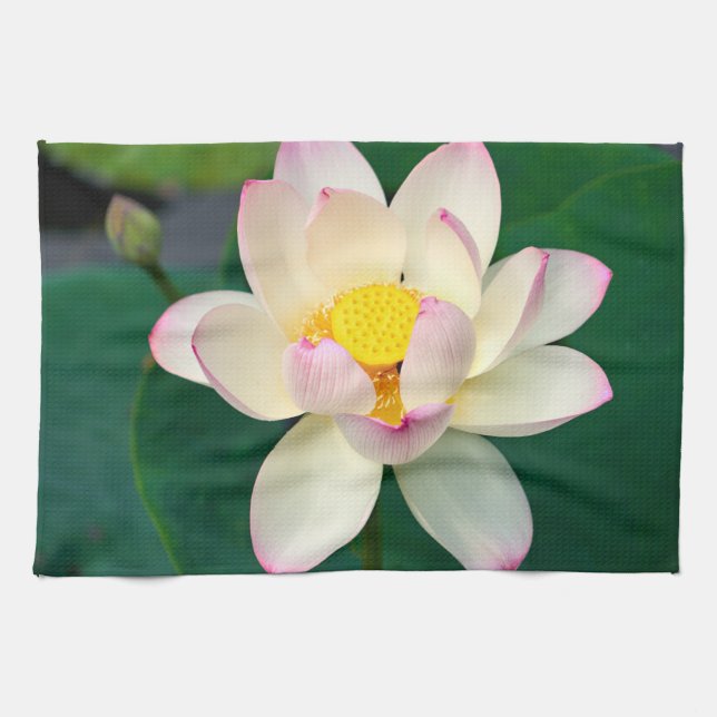 Paño De Cocina Flores | Flor de agua Lotus (Horizontal)
