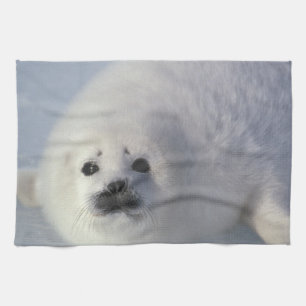 Paño De Cocina Foca de Groenlandia (Phoca groenlandica) Una cría