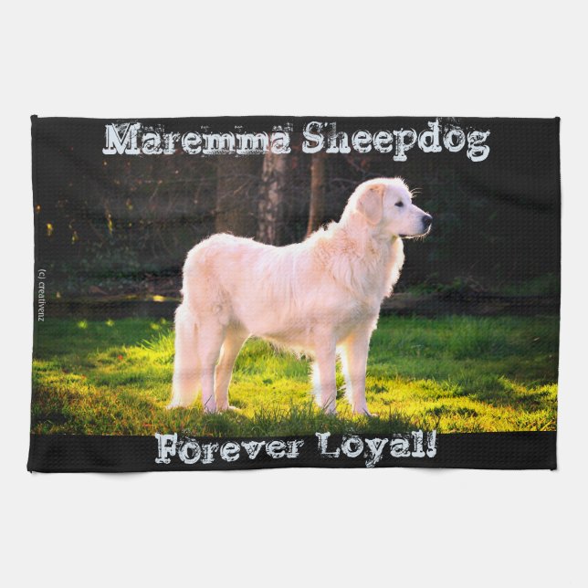 Paño De Cocina Forever Loyal Maremma (Horizontal)