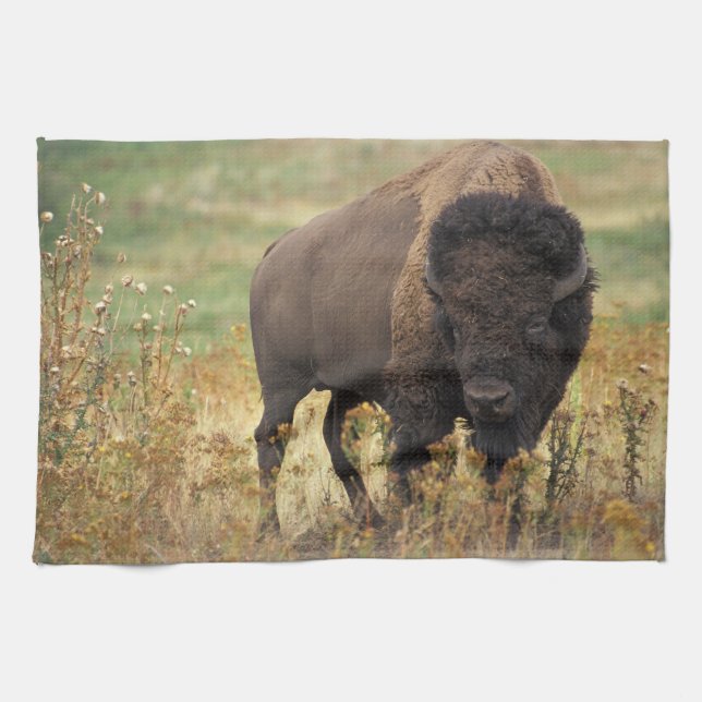 Paño De Cocina Foto de Bison (Horizontal)
