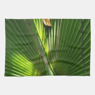 Paño De Cocina Foto de primer plano de Saw Palmetto