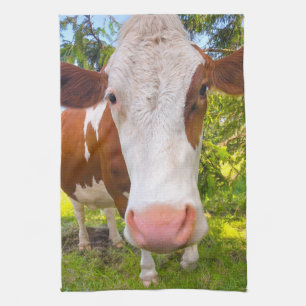 Paño De Cocina Foto de retrato animal de granja de vacas